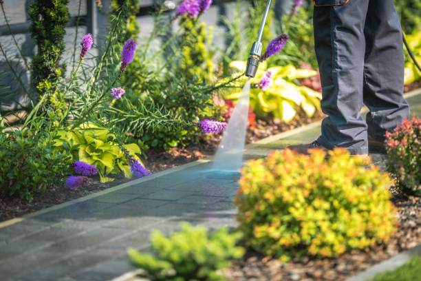 Best Driveway Pressure Washing  in Jennerstown, PA